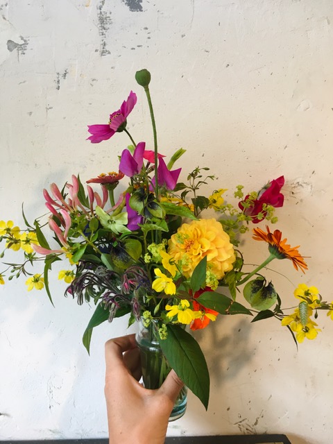 Lounge werkzaamheid gemakkelijk te kwetsen een bloemetje op tafel – bloemen op de binnenweg